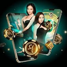 505bet 505bet